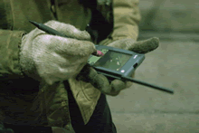 palm en acci�n